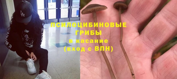 прущая мука Кинешма